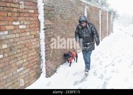 Ramsgate, Royaume-Uni - 2 février 2021 UN homme marche son chien dans la neige au volant après que la tempête Darcy frappe Ramsgate et de grandes proportions du Royaume-Uni. Banque D'Images