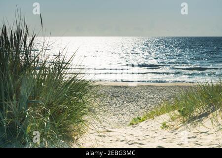 Herbe sur les dunes de sable et plage de sable à voir à midi lumière du soleil. Paysage de la mer Baltique. Magnifique paysage ensoleillé. Banque D'Images