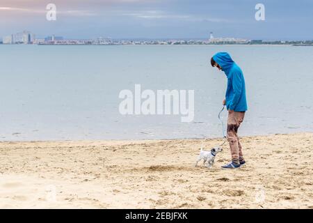 Homme marchant chiot sur la côte par mer. Guy en blouson bleu marchant mélangé dalmatien sur la mer. Personne avec chien sur la plage de sable. Banque D'Images