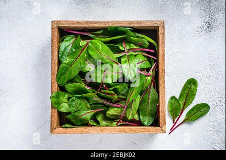 Feuilles d'or de manchard vert frais brutes dans une boîte en bois. Arrière-plan blanc. Vue de dessus Banque D'Images