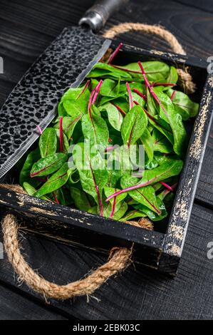 Feuilles de bettes crues, mangold, bette suisse dans un plateau en bois fond de bois noir. Vue de dessus Banque D'Images