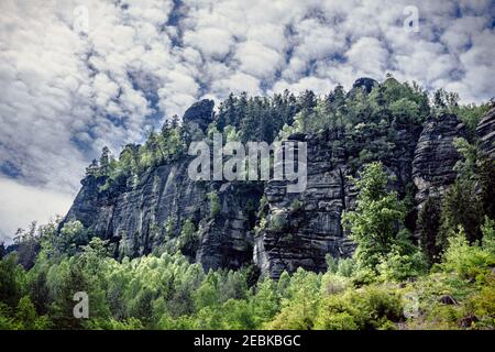 Formation de roches sur un sentier de randonnée à Eblsandsteingebirge en Suisse saxonne Banque D'Images