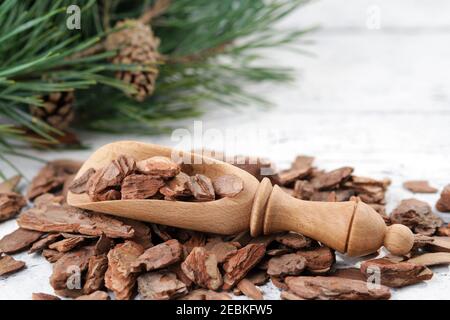 Écorce de pin, pelle en bois et branches de pin sur bois blanc. Banque D'Images