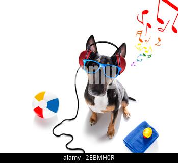 DJ Bull Terrier chien jouant de la musique et prêt pour l'été vacances isolées sur fond blanc Banque D'Images