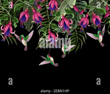 Bordure avec colibris et fleurs tropicales. Imprimé vectoriel tendance. Illustration de Vecteur