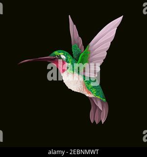 Colibris isolés. Imprimé vectoriel tendance. Illustration de Vecteur