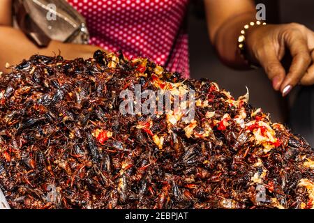 Insectes frits en vente en asie trouvés au Cambodge, Vietnam, Thaïlande Banque D'Images