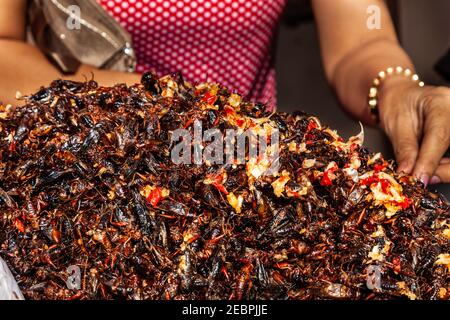 Insectes frits en vente en asie trouvés au Cambodge, Vietnam, Thaïlande Banque D'Images