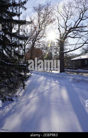 L'ombre de l'arbre sur la dérive des neiges en hiver matin Banque D'Images