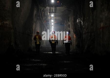 (210213) -- BEIJING, le 13 février 2021 (Xinhua) -- les mineurs travaillent sous terre dans la troisième zone minière du Groupe Jinchuan à Jinchang, dans la province de Gansu, dans le nord-ouest de la Chine, le 11 février 2021. Dans la mine noire à plus de 600 mètres de profondeur, les machines minières rôrent et le minerai sur le tapis de transport brillent avec un lustre métallique. Il s'agit de la troisième zone minière du Groupe Jinchuan à Jinchang, l'une des principales bases de production de nickel, de cobalt et de cuivre du pays. Les travailleurs qui ne rentrent pas chez eux pendant le festival du printemps se sont collés à leurs postes pour assurer l'exploitation minière de manière ordonnée. (Xin Banque D'Images