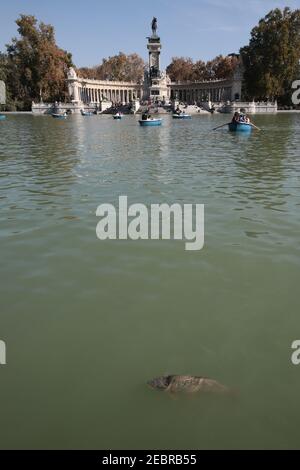 Un poisson dans le lac dans le parc du Retiro avec une statue dédiée au roi Alfonso XII en arrière-plan. D'un ensemble de vues générales de Madrid, la tête Banque D'Images