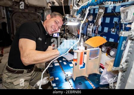 Michael Hopkins, astronaute de la NASA et ingénieur de vol de l'expédition 64, travaille sur les composantes hydroponiques pour l'étude de gestion des eaux végétales à bord de la Station spatiale internationale le 8 février 2021 à Earth Orbit. Banque D'Images