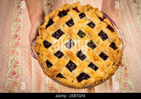 Gros plan des mains tenant une tarte aux myrtilles fraîchement cuite Banque D'Images
