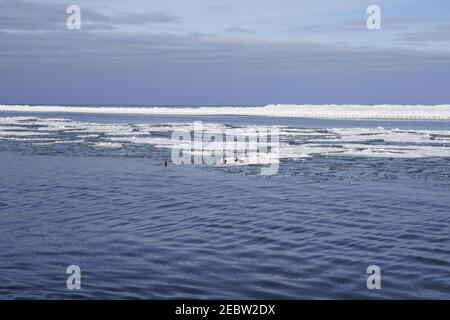 Grand Haven, Michigan, février 2021, paysage d'hiver, ICES dans l'eau, canards Banque D'Images