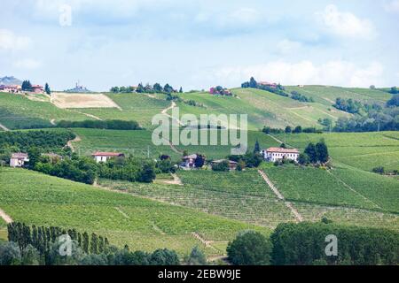 Vignobles en Provence France Banque D'Images