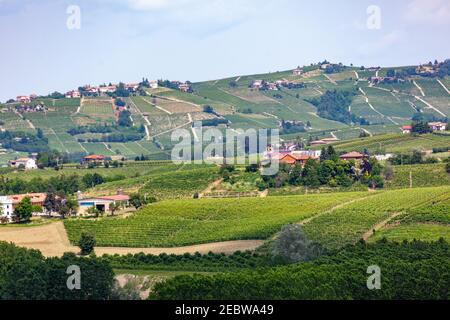 Vignobles en Provence France Banque D'Images