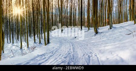 Hiver à Warmia et Mazury dans le nord-est de la Pologne Banque D'Images