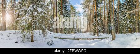 Hiver à Warmia et Mazury dans le nord-est de la Pologne Banque D'Images