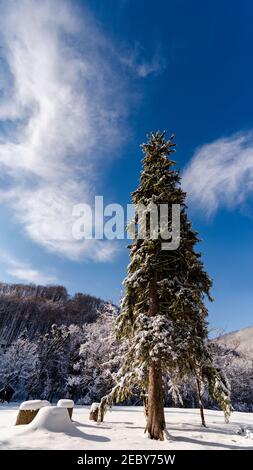 Paysage d'hiver dans la vallée de Szalajka Hongrie. Paysage incroyable dans le parc national de Bukk près de Miskolc City. À côté de la ville de Lillafured. Belle vue Banque D'Images