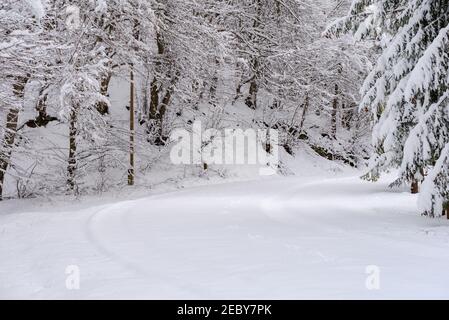 Paysage d'hiver dans la vallée de Szalajka Hongrie. Paysage incroyable dans le parc national de Bukk près de Miskolc City. À côté de la ville de Lillafured. Belle vue Banque D'Images