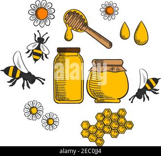 Apiculture et miel de ferme esquissent des icônes avec des fleurs et des abeilles, du pollen, une bouteille et un pot de miel qui s'égoutte Illustration de Vecteur