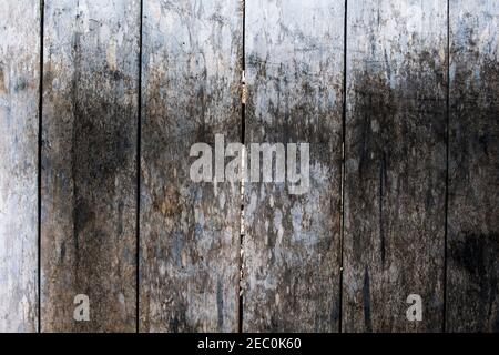 Parquet gris rugueux photo arrière-plan. Bois rustique en bois de gros plan. Fond en bois argenté. Motif bohémien. Texture du bois. Bannière chic et chic Banque D'Images