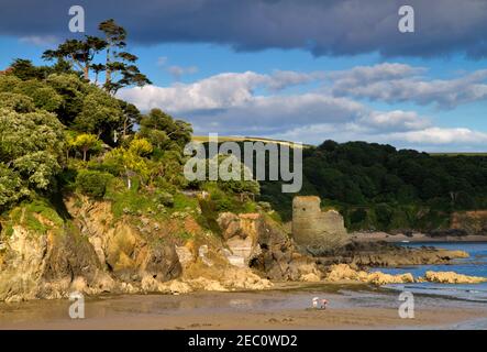 Les vestiges du château de Salcombe à North Sands, Salcombe, South Hams, Devon. Le château a été construit par Henry VIII pour défendre l'estuaire de Kingsbridge Banque D'Images