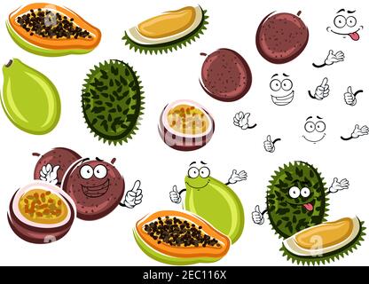 Papaye aromatique de dessin animé, jus de maracuja et des fruits duriens odorants. Des personnages exotiques de fruits thaïlandais pour une recette de dessert tropical ou un thème de nourriture saine Illustration de Vecteur