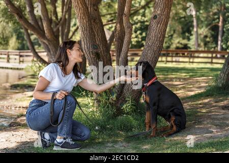 Une femme brune blanche en t-shirt blanc passe du temps avec doberman chien de soja à l'extérieur Banque D'Images