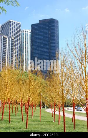 Arbres peints à Lakeshore Drive à Chicago (juillet 2010) Banque D'Images