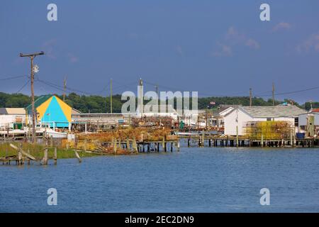 Pêche dans les manganes de l'île Tanger, Chesapeake Bay Banque D'Images