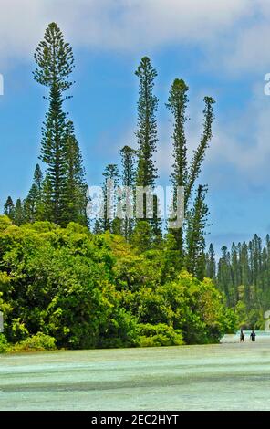 Baie d'Oro, île Pines, Nouvelle-Calédonie, France Banque D'Images