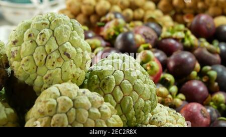 Assortiment de fruits exotiques sur le marché. Bouquet de pommes à sucre placé sur fond flou de longans et de mangoustens sur le marché en tropica Banque D'Images