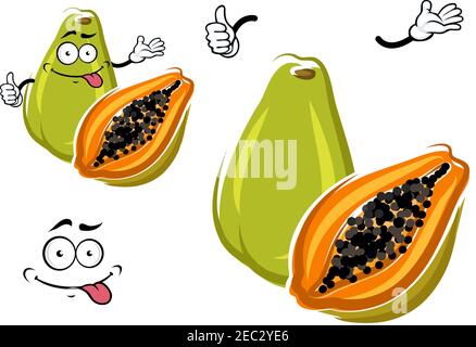 Dessin animé entier et moitié exotique fruit de papaye vert hawaïen avec chair d'orange juteuse avec de petites graines noires regroupées au centre. Peut être utilisé comme vég Illustration de Vecteur