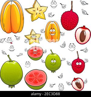 Souriant dessert tropical star fruit, lychee et fruits de goyave personnages de dessin animé avec de délicieuses tranches juteuses et visages souriants. À utiliser comme cocktail exotique Illustration de Vecteur