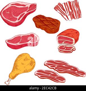 Steaks de bœuf frais et grillés, fines tranches de bacon et de prosciutto, filet de bœuf cuit au four et icônes représentant des pattes de dinde. Viande saine et nutritive pro Illustration de Vecteur