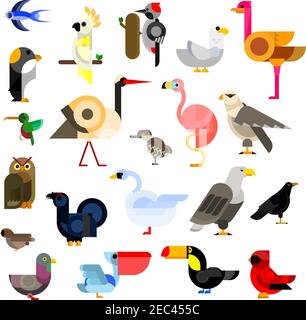 Dessins animés icônes plates de hibou et aigle, hirondelles et colibri, perroquet et faucon, pingouin, cigognes et cygnes, garrot et pigeon, flamants et goélands, ostri Illustration de Vecteur