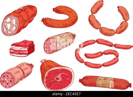Croquis colorés de saucisses fumées, bâtonnets de salami, pepperoni et bologne, bacon et jambon. Icônes de charcuterie pour l'emballage des aliments, à l'ancienne Illustration de Vecteur