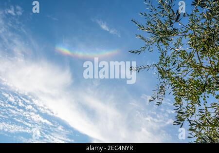 Chien de soleil (Parhelion) le ciel au-dessus des murs du village de Monteriggioni dans la province de Sienne, Toscane - Italie Banque D'Images