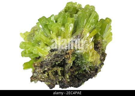 Pyromorphite de Guangxi, en Chine, isolée sur fond blanc Banque D'Images