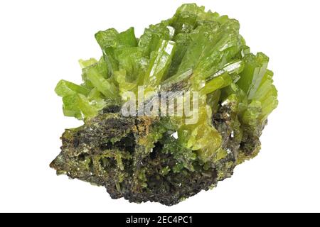 Pyromorphite de Guangxi, en Chine, isolée sur fond blanc Banque D'Images