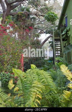 Un jardin verdoyant à côté d'un bâtiment verdoyant à Gulfport, Floride, États-Unis. Banque D'Images