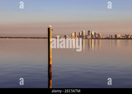 Gratte-ciel de l'autre côté de la baie et reflétant l'eau - un oiseau sur un poteau haut au premier plan Banque D'Images