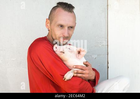 Portrait de porcelet mignon sur les mains du propriétaire de ferme. Fermier tenant un jeune cochon charmant. Concentrez-vous sur la piggy. Banque D'Images