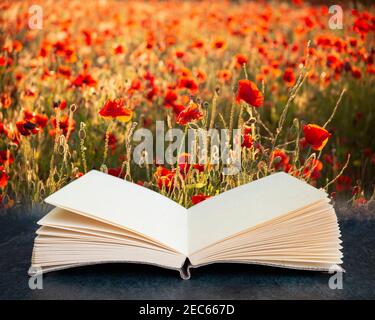 Image composite numérique du magnifique paysage d'été du champ de pavot Dans la campagne anglaise pendant la fin de la soirée coucher du soleil sortir de pages du livre Banque D'Images