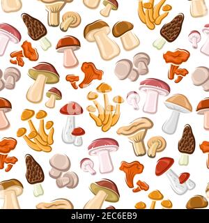 Fond de motif champignons sans couture. Éléments graphiques de champagnes, lactarius, boletus, chanterelle morel Illustration de Vecteur