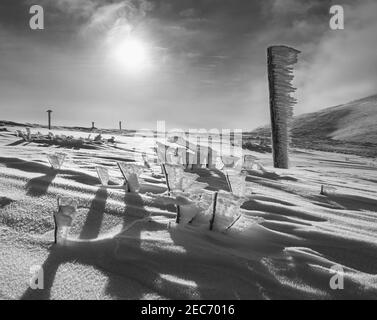 Niveaux de gris. Pointeur recouvert de neige et buissons près du chemin sur le plateau enneigé de la montagne et le soleil dans le ciel. Magnifique journée ensoleillée sur un magnifique alp pittoresque Banque D'Images