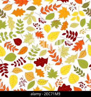 Feuilles d'automne colorées et baies fond sans couture. Papier peint avec motif vectoriel d'arbres et de plantes feuillage chêne, bouleau, érable, orme, peuplier, aspe Illustration de Vecteur