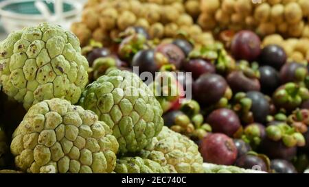 Assortiment de fruits exotiques sur le marché. Bouquet de pommes à sucre placé sur fond flou de longans et de mangoustens sur le marché en tropica Banque D'Images