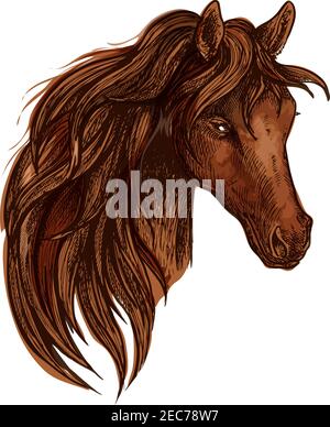 Cheval avec longue manie ondulée. Portrait artistique de belle étalon brun avec des yeux brillants et un look fier Illustration de Vecteur